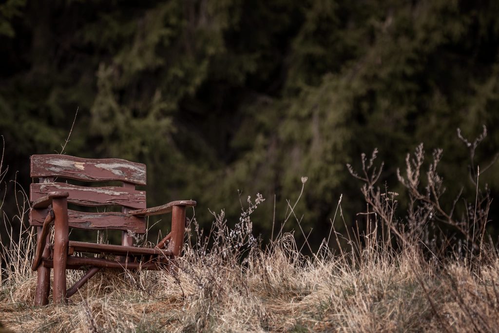 Nein, kein Aprilscherz: Unsere neue Website ist online! - Jagdverein Gunzenhausen e.V.