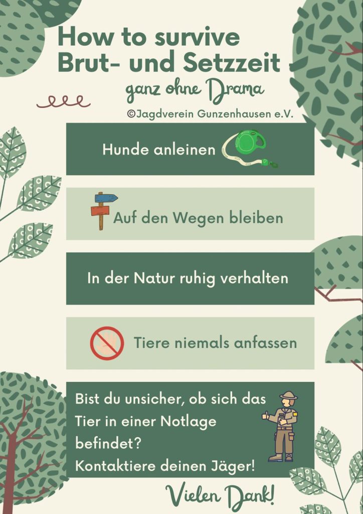 Brut- und Setzzeit: So verhalten wir uns richtig in der Natur - Jagdverein Gunzenhausen e.V.